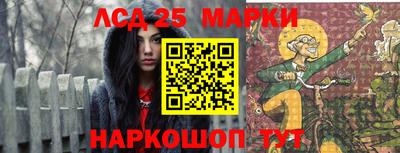 крисы Кингисепп