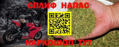крисы Кингисепп